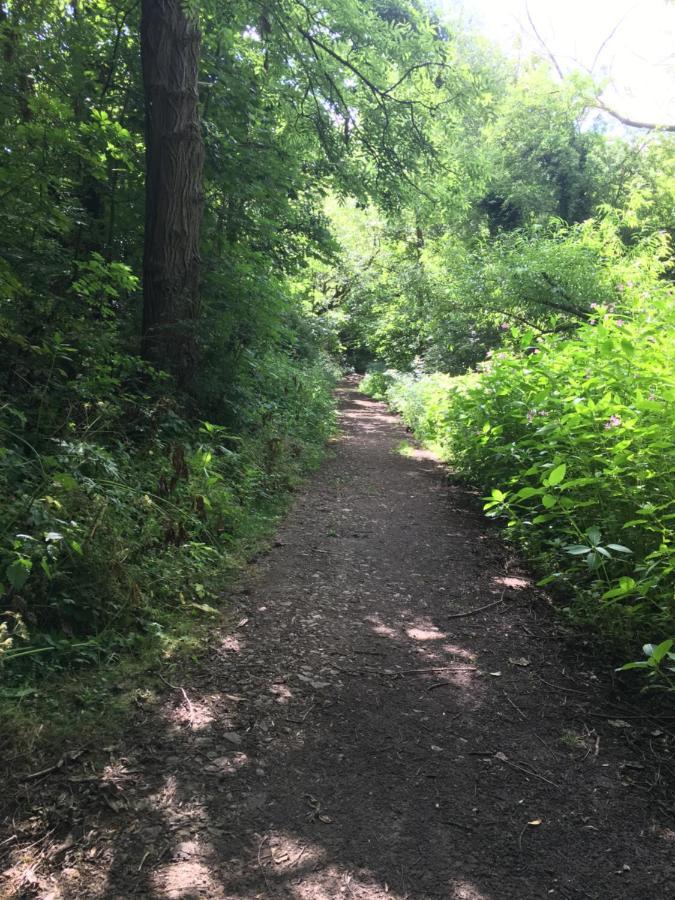 הוילה White House Barn, Near Yarm / Stockton-On-Tees מראה חיצוני תמונה