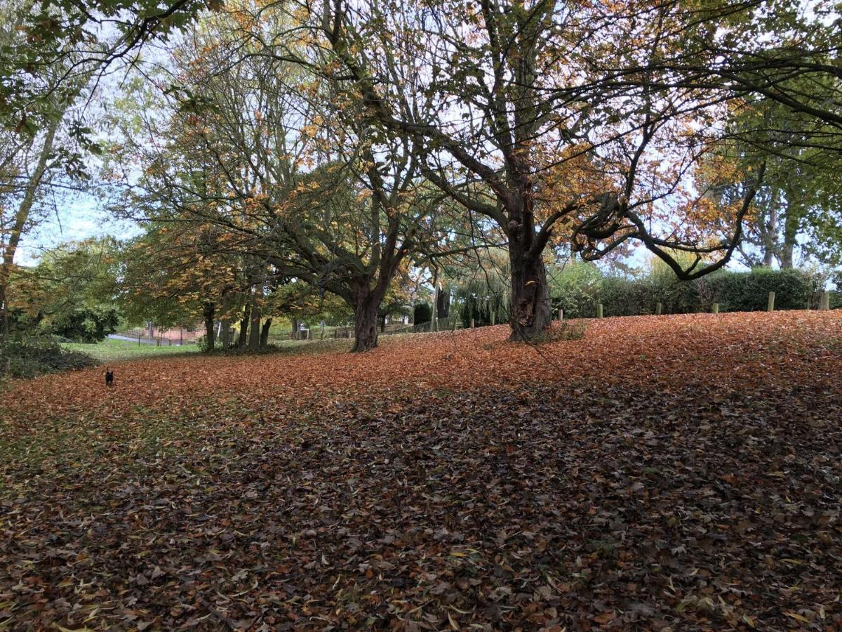 הוילה White House Barn, Near Yarm / Stockton-On-Tees מראה חיצוני תמונה